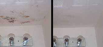 Clean Bathrooms with Blackout